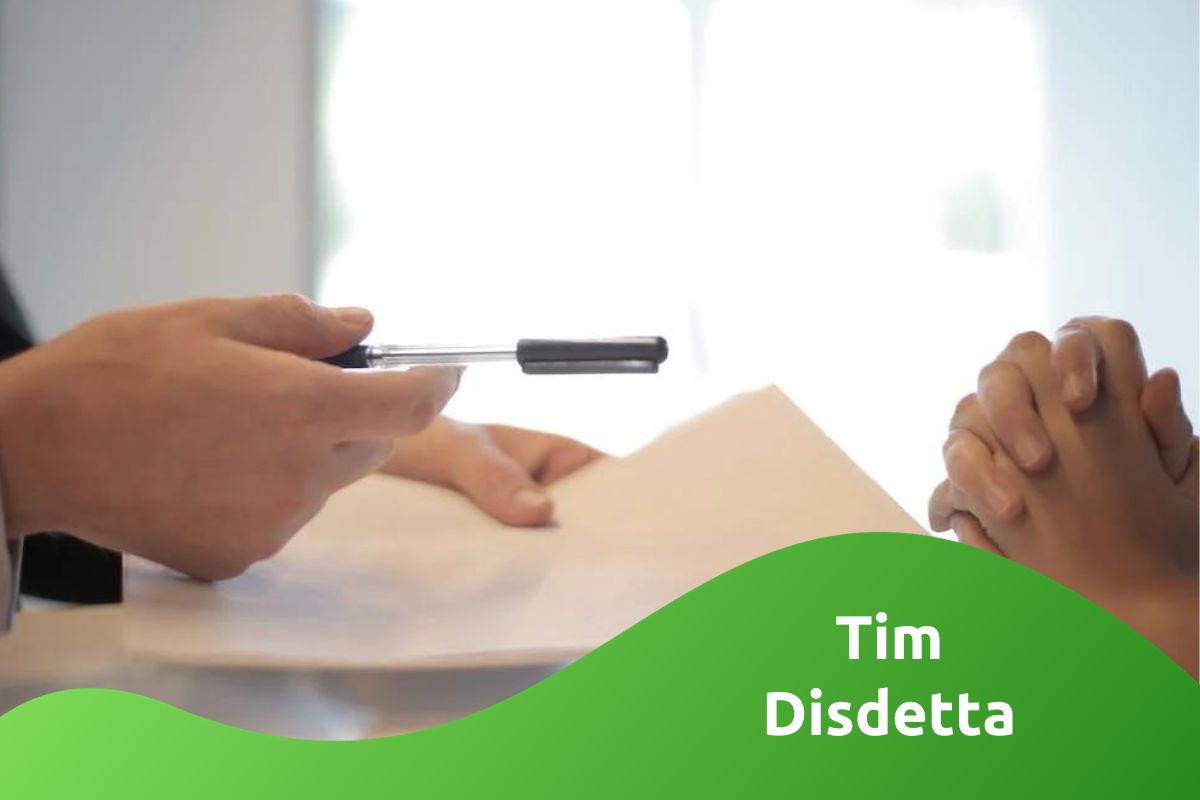 Tim Disdetta